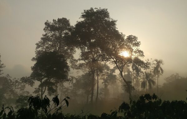 Wayanad-bekal