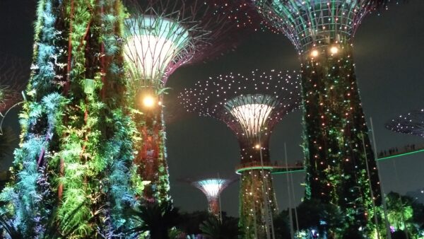 Gardens by the bay