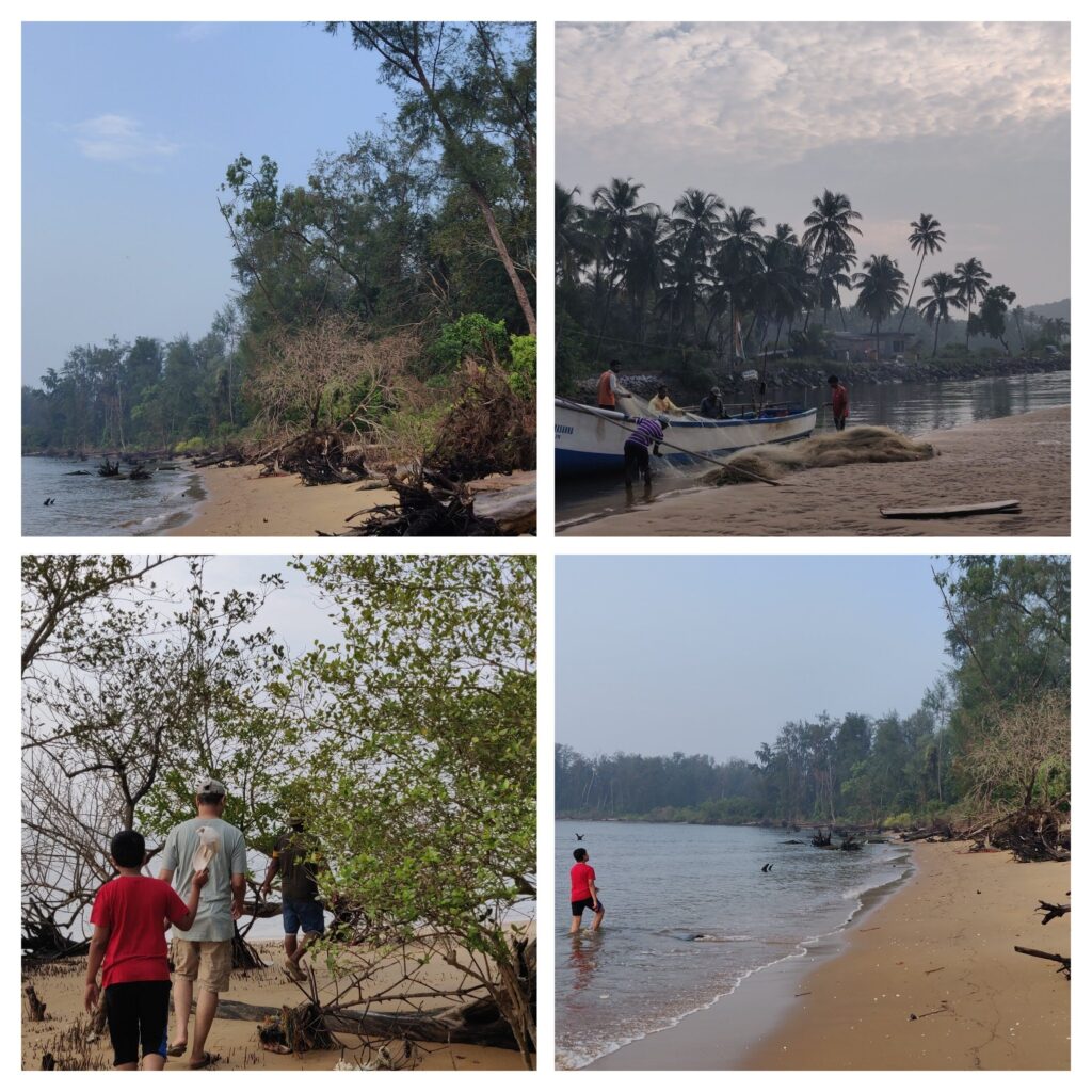 Beach trek and mangrove walk