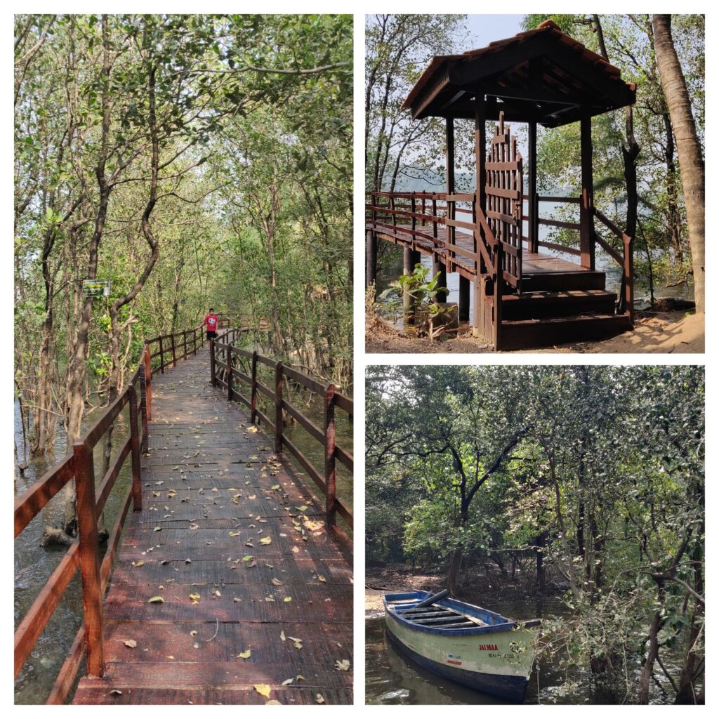 Kali mata mandir mangrove walk