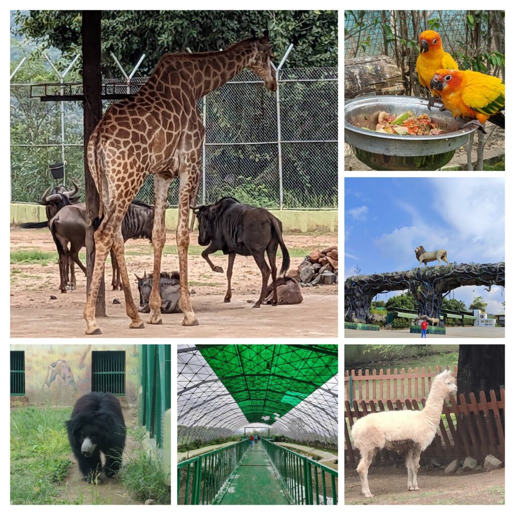 Zoo, statue of unity