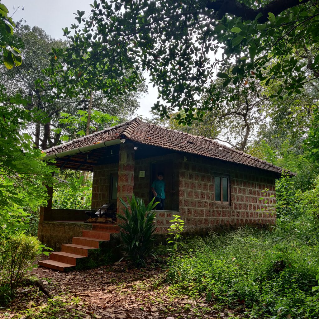 Cottage at dudhsagar plantation