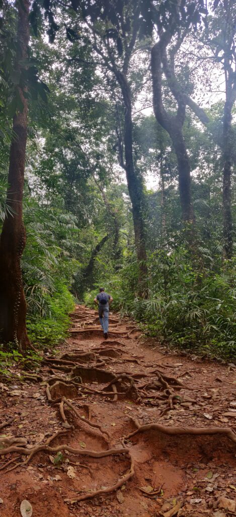 Trek to Vibhooti Falls