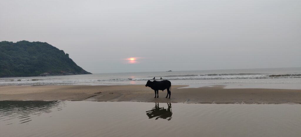 Sunset at Kudle beach